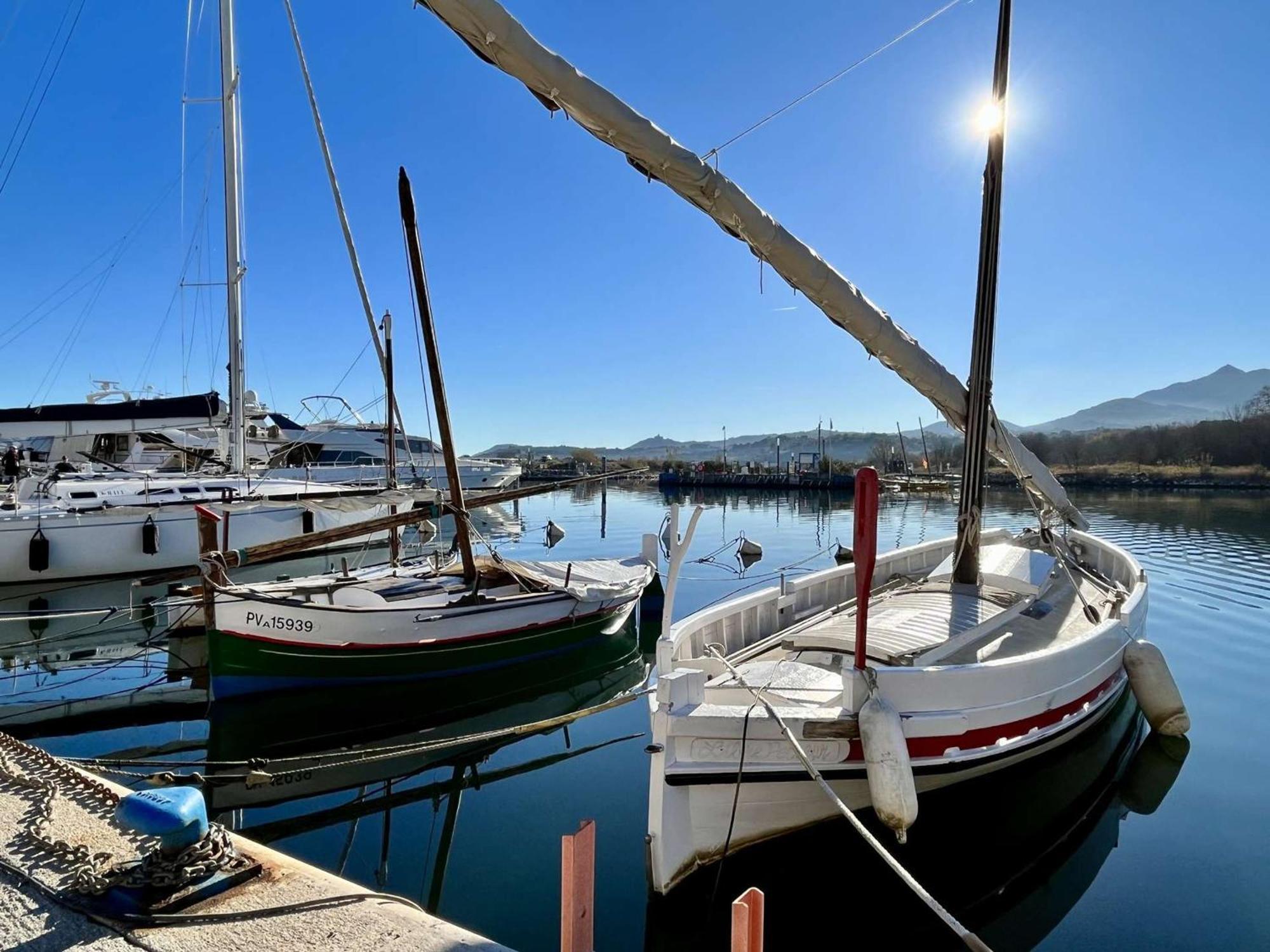 Location Appart 2 Pieces Au Port D'Argeles-Sur-Mer - Fr-1-225-56 Argelès-sur-Mer Exterior foto